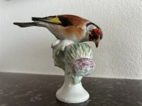 Meissner Porzellan Figur - Stieglitz / Fink / Vogel Dresden - Räcknitz/Zschertnitz Vorschau