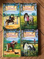 4 Bücher Apfelblüte Ponyhof neu Nordrhein-Westfalen - Herdecke Vorschau