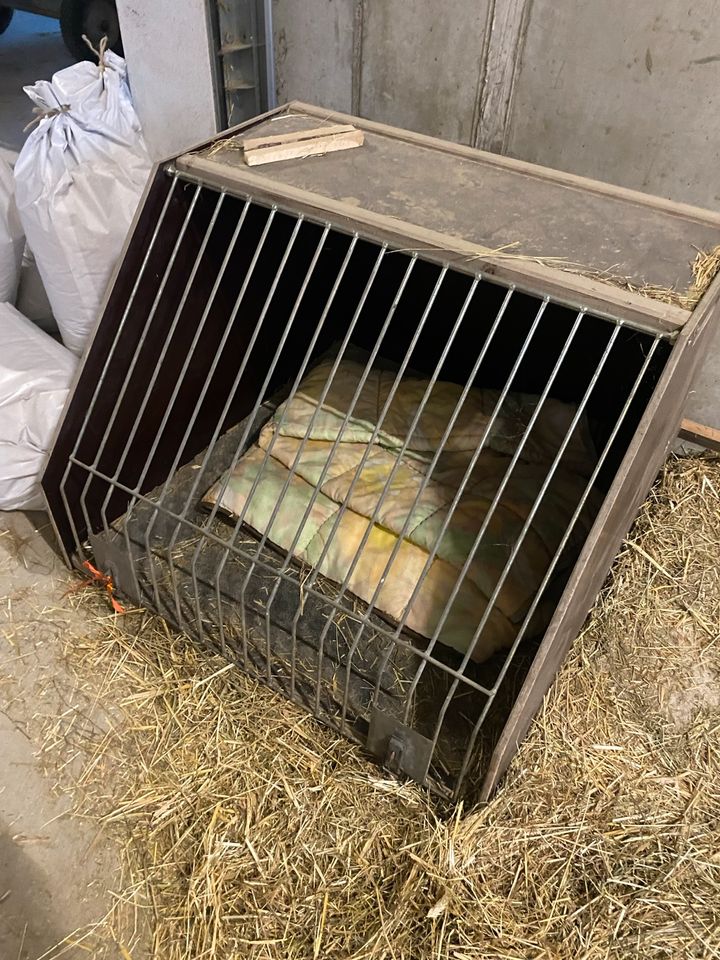 Hunde Box Transportbox in Aschau am Inn