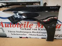 Ford Mondeo V Kotflügel vorne links ab 2014 Original Nordrhein-Westfalen - Bottrop Vorschau