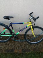 Mountainbike Merida Miami 26 Zoll RH 44cm Rheinland-Pfalz - Freudenburg Vorschau