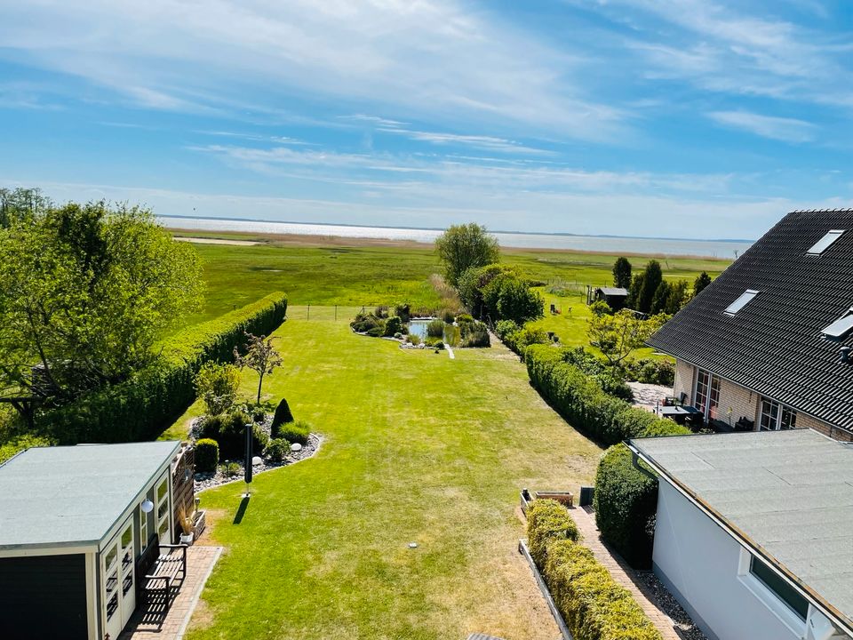 Panorama Seeblick Insel Usedom ab sofort verfügbar in Ückeritz