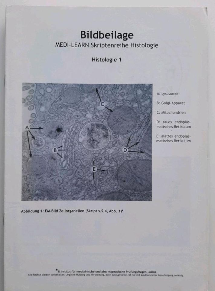 Medilearn Histologie + 2 Hefte mit originalen Präparatbildern in Dortmund