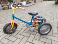 Dreirad für Kleinkinder Niedersachsen - Itterbeck Vorschau
