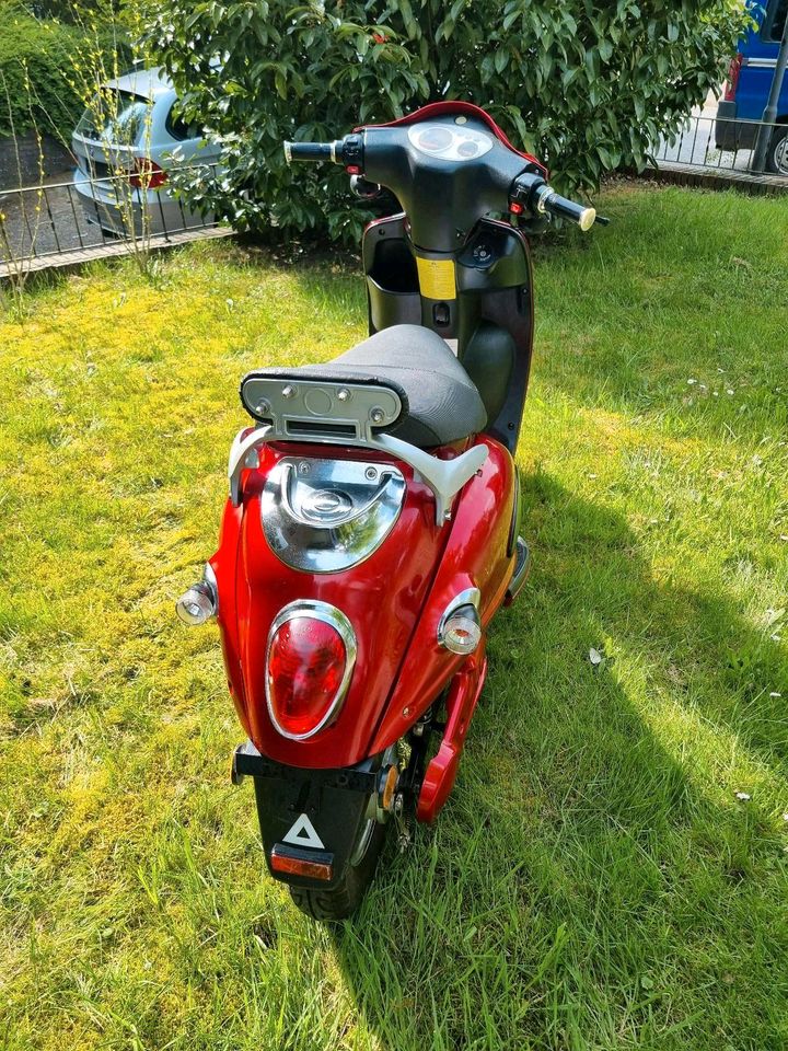 Elektro Roller Moped EcoFlash 2000 Eco Flash 2000 in Tostedt