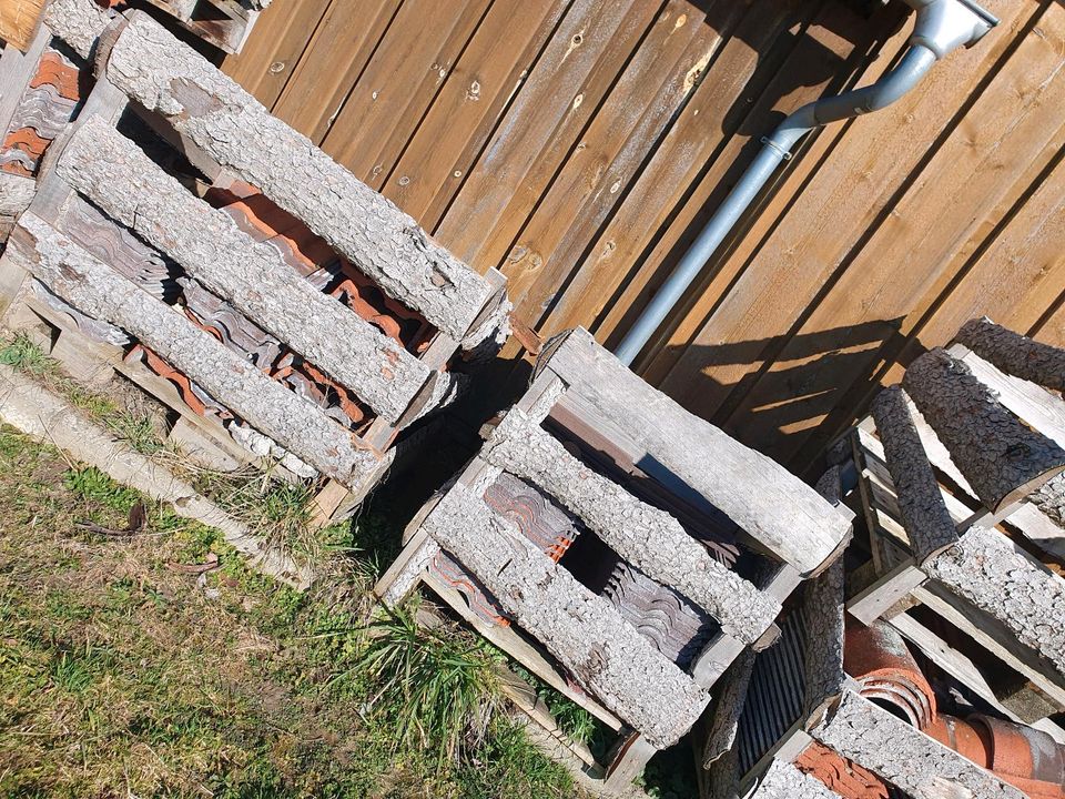 Frankfurter Pfannen Dachplatten in Burtenbach