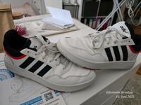 sneaker gr.43 Adidas Nordrhein-Westfalen - Hamm Vorschau