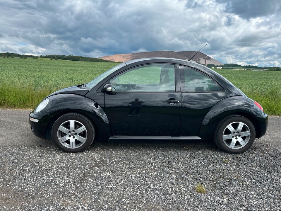 VW New Beetle in Neuhof