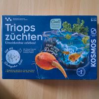 Kosmos Triops züchten Bayern - Eichenau Vorschau
