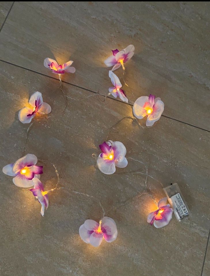 Lichterkette, Orchideenblütenlichter mit Batterien⭐️✨ in Graal-Müritz