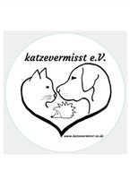 Totfund Katze Bayern - Krumbach Schwaben Vorschau