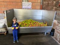 Apfelsaft aus eigenen Äpfeln pressen Saft Obst Kelterei Mosterei Bayern - Gräfendorf Vorschau