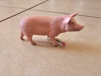 Schleich Schwein Schweinchen - NEU Hessen - Weilmünster Vorschau