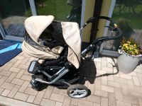 Kinderbaggy Kinderwagen Rheinland-Pfalz - Rumbach Vorschau