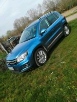 VW Tiguan 2.0 TDI Rheinland-Pfalz - Mainz Vorschau