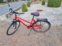 Unisexrad Fahrrad rot hartje livorno Niedersachsen - Ebstorf Vorschau