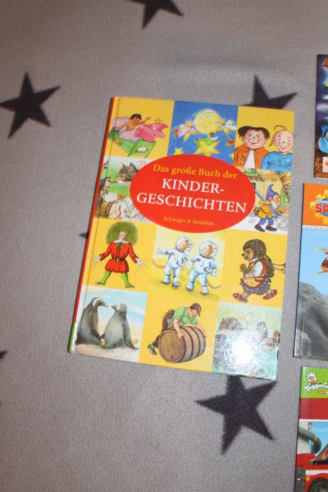 Kinderbücher Struwelpeter Sam Paw Patrol in Wietzendorf