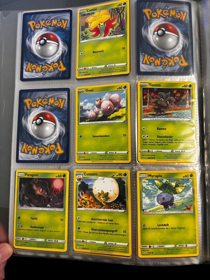 Pokémon-Karten in Merseburg