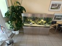 Aquarium komplett mit Technik und Fischen Brandenburg - Eisenhüttenstadt Vorschau