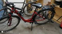 Citybike Tiefeinsteiger Pegasus Solero SL Rheinland-Pfalz - Trier Vorschau