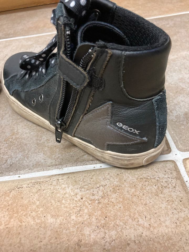 Geox Leder Halbstiefel Halbschuhe Mädchen Größe 34 in Schloß Holte-Stukenbrock