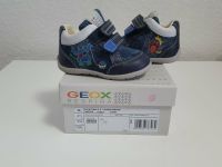 Geox Schuhe   Gr .20 Nordrhein-Westfalen - Kamen Vorschau