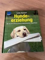 Buch Hundeerziehung von Collin Tennant Hessen - Schlangenbad Vorschau