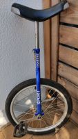 Fishbone Sport Einrad 20 Zoll blau Bayern - Memmingerberg Vorschau