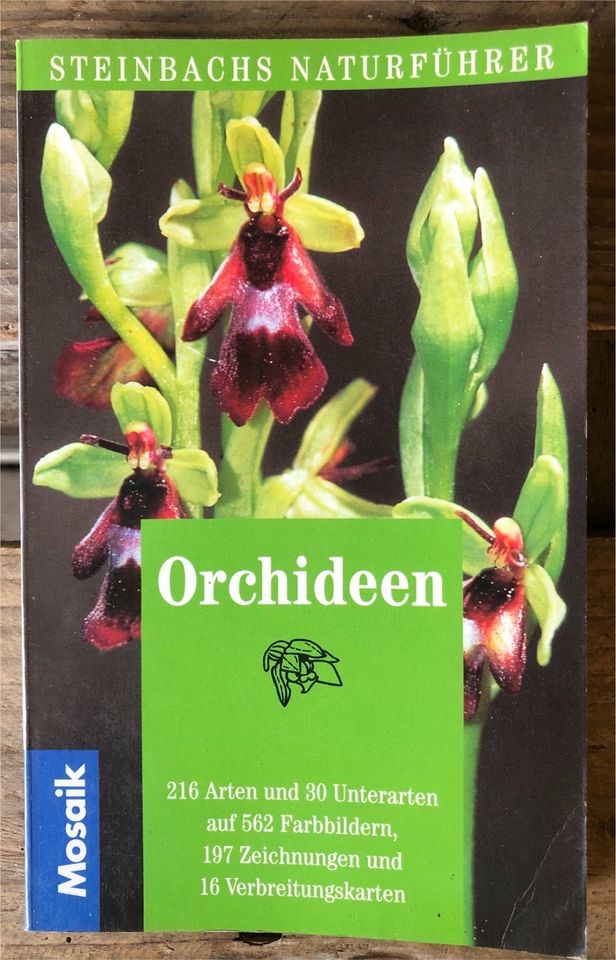 Orchideenbuch - Naturführer - Orchideen bestimmen in Wiesbaden