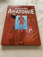 Wissen im Bild - Anatomie Berlin - Mitte Vorschau