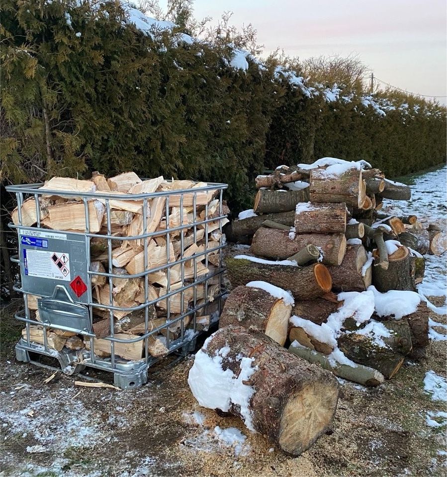 Baumpflege Häckseln Baumfällung Bagger Rasen Hecke Gartenpflege in Zwickau