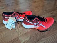 ⭐️Neu⭐️ASICS Laufschuhe Running 'Magic Speed' Gr.38 Brandenburg - Werder (Havel) Vorschau