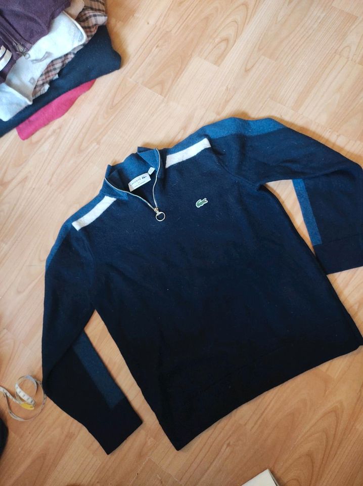 Lacoste Damen Pullover Größe S / Merino Wolle in Frankfurt am Main