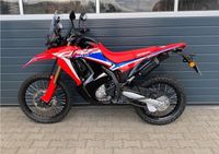 Honda CRF 300 Rally Rheinland-Pfalz - Eppelsheim Vorschau