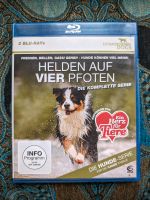 Helden auf vier Pfoten - Hunde-Doku auf Blu-ray Mecklenburg-Vorpommern - Wismar Vorschau