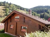 Ferienblockhaus im Harz Wildemann auf 800m2 Eigentumsgrundstück Niedersachsen - Wildemann Vorschau