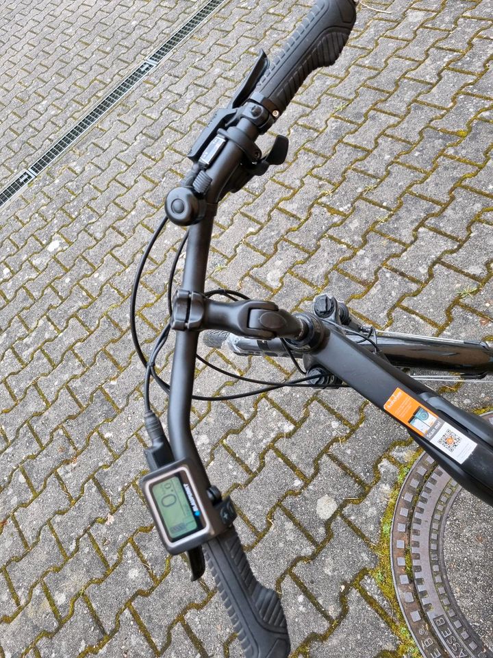 NEU NEE GEFAHREN Prophete Herren Alu-Fahrrad E-Bike ATB 28Zoll in Bad Bevensen