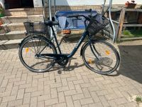 Damenfahrrad Thüringen - Auleben Vorschau