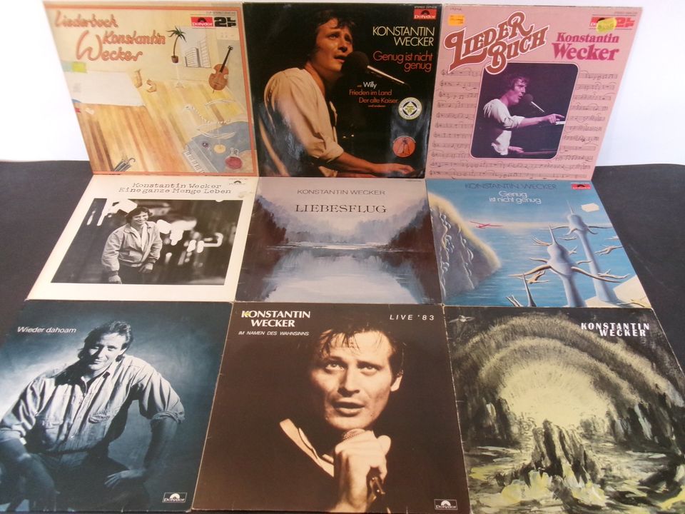 12 Stück  KONSTANTIN WECKER   Schallplatten LP´s in Dörverden