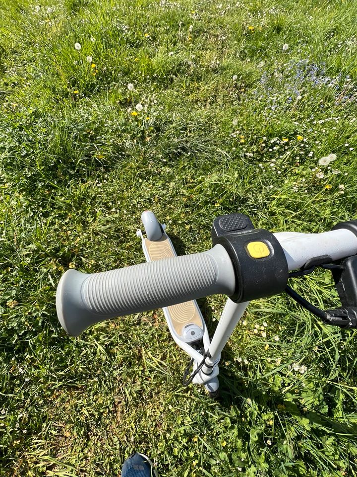 Segway Ninebot ZING C8 E-Scooter , E Scooter  Kinder in Gera