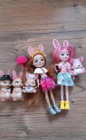 Enchantimals Set + Brystall Bunny Family & Bree Bunny & Twist Sachsen - Radeberg Vorschau