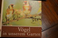 Buch "Vögel in unserem Garten" Rudolf Arnold Verlag Güstrow - Landkreis - Güstrow Vorschau