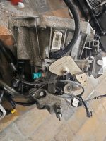 Dacia Duster Getriebe 1.5 d TL4B043 SCHLACHTFEST Ersatzteile Niedersachsen - Westerwalsede Vorschau