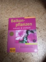 GU Balkonpflanzen Köln - Nippes Vorschau