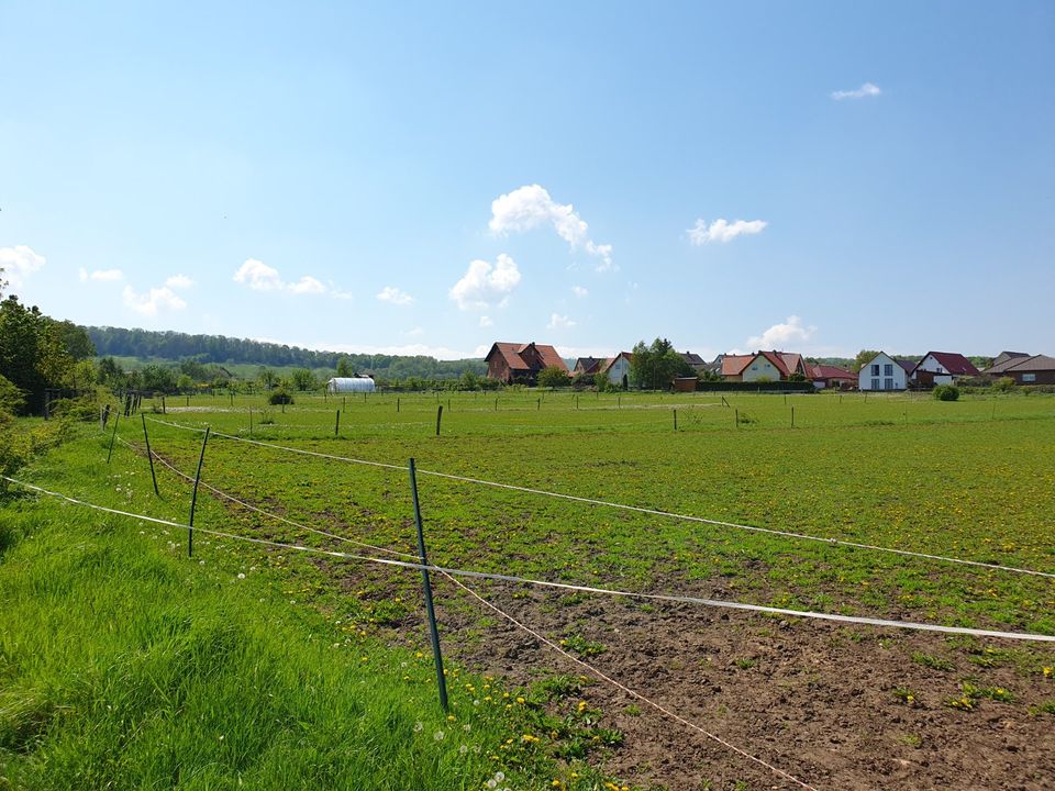 Mit Grundstück, das flexible Massivhaus "FürDich" in Westerode. in Bad Harzburg