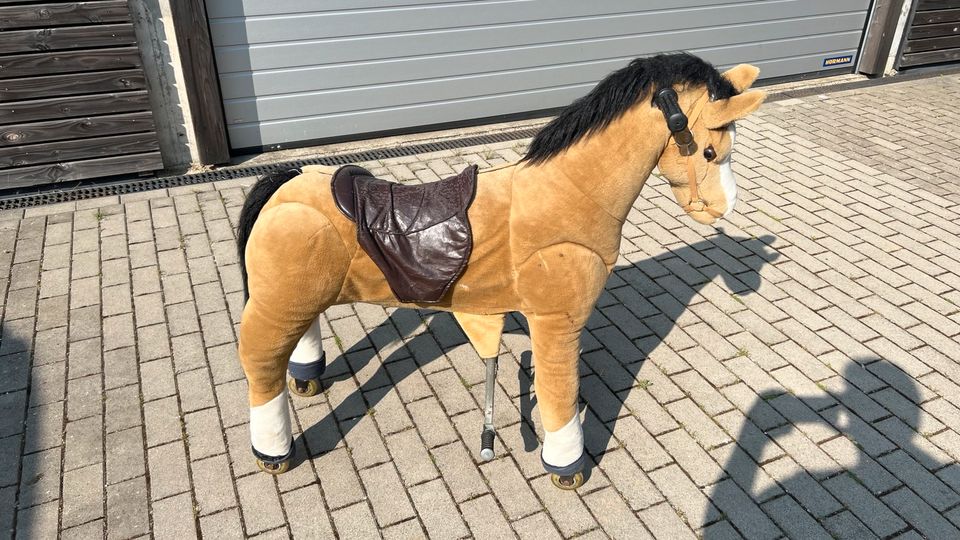 Kinderreitpferd in Düsseldorf