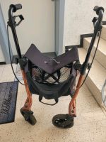 Dietz TAiMA  Leichtgewicht Rollator Schleswig-Holstein - Handewitt Vorschau