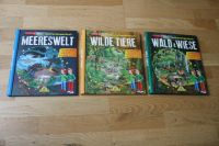 Mein Taschenlampenbuch Meereswelt, Wilde Tiere, Wald & Wiese Bayern - Lauf a.d. Pegnitz Vorschau