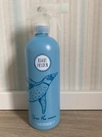 Sprühflasche Blaue Helden Saarland - Ottweiler Vorschau