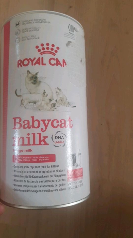 Royal canin katzen-Milch 300 g Aufzuchtmilch babycat milk in Bremen